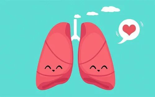 1672390409126238.jpg 640.jpg