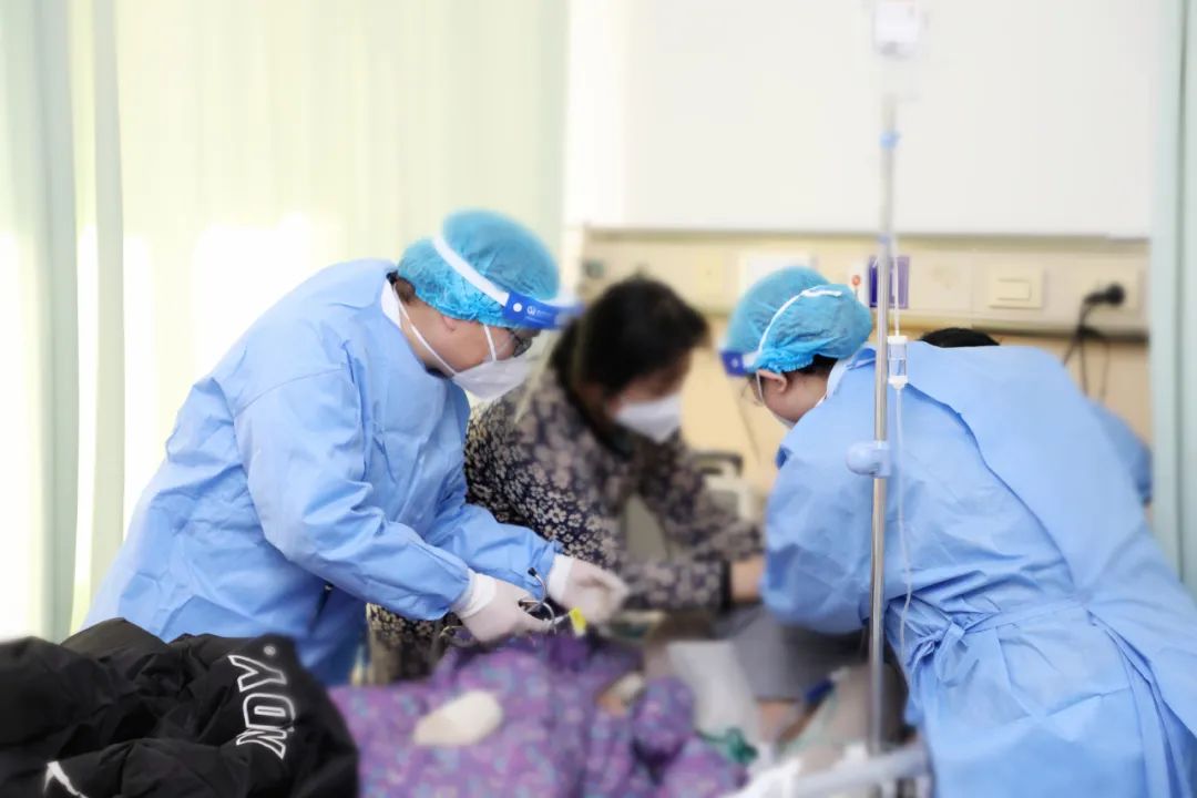 1672390480703385.jpg 1672390480703385.jpg