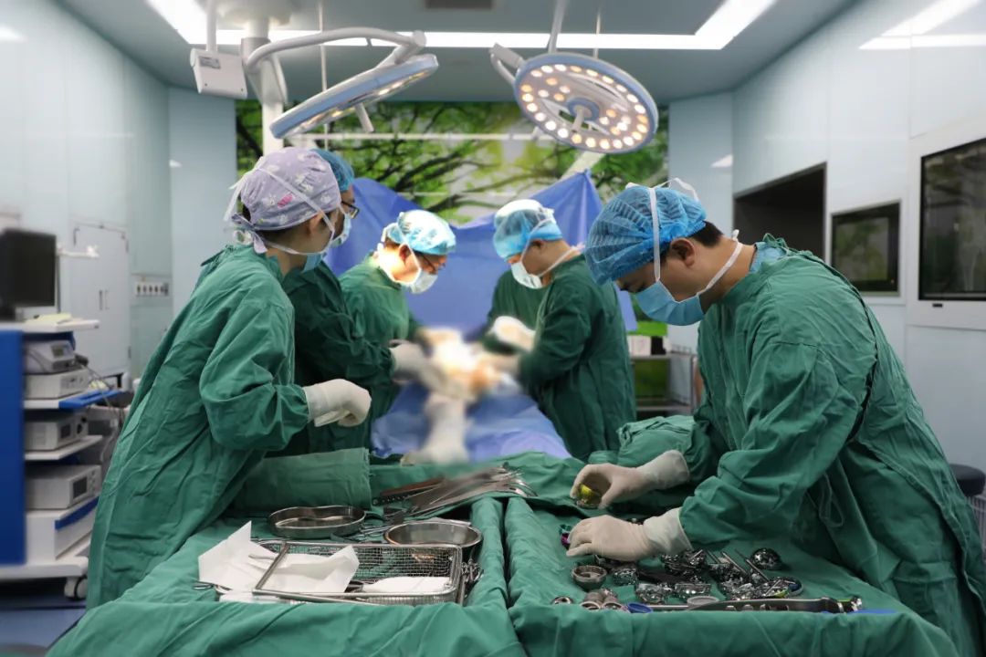 1679531795591306.jpg 1679531795591306.jpg