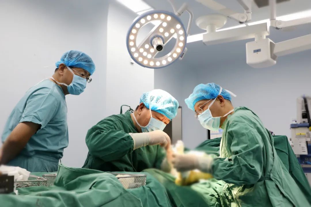 1679531843121841.jpg 1679531843121841.jpg