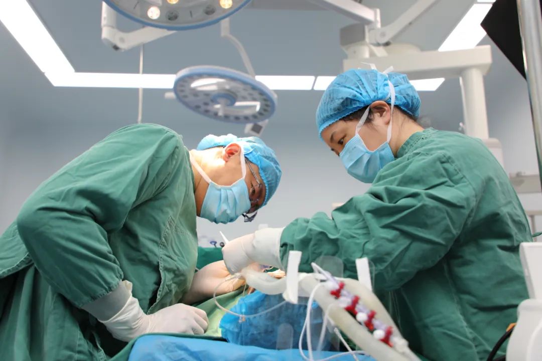 1680481200972904.jpg 1680481200972904.jpg