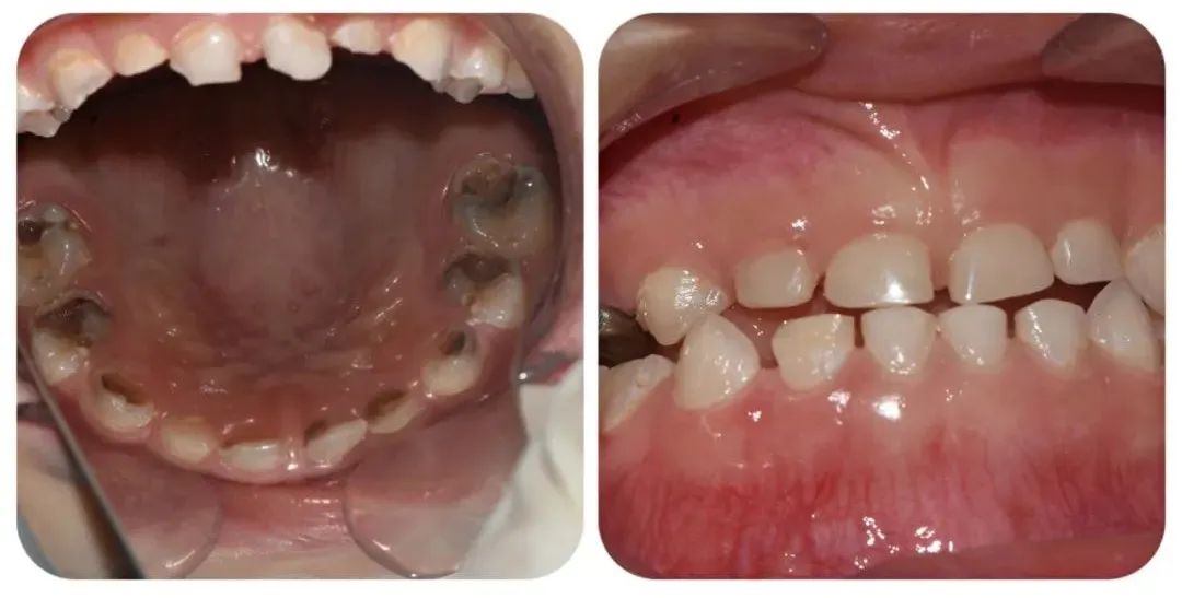 1680481267166300.jpg 1680481267166300.jpg