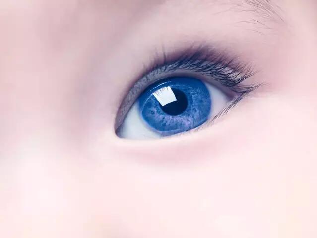 1484186562519193.jpg QQ截圖20170112100401.jpg