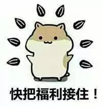 1533170368469325.jpg 3.webp.jpg