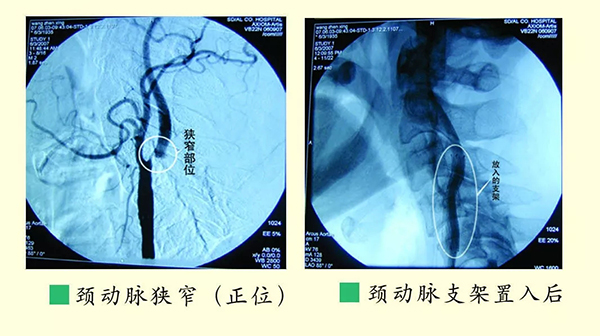 1536195108160586.jpg 8.webp.jpg