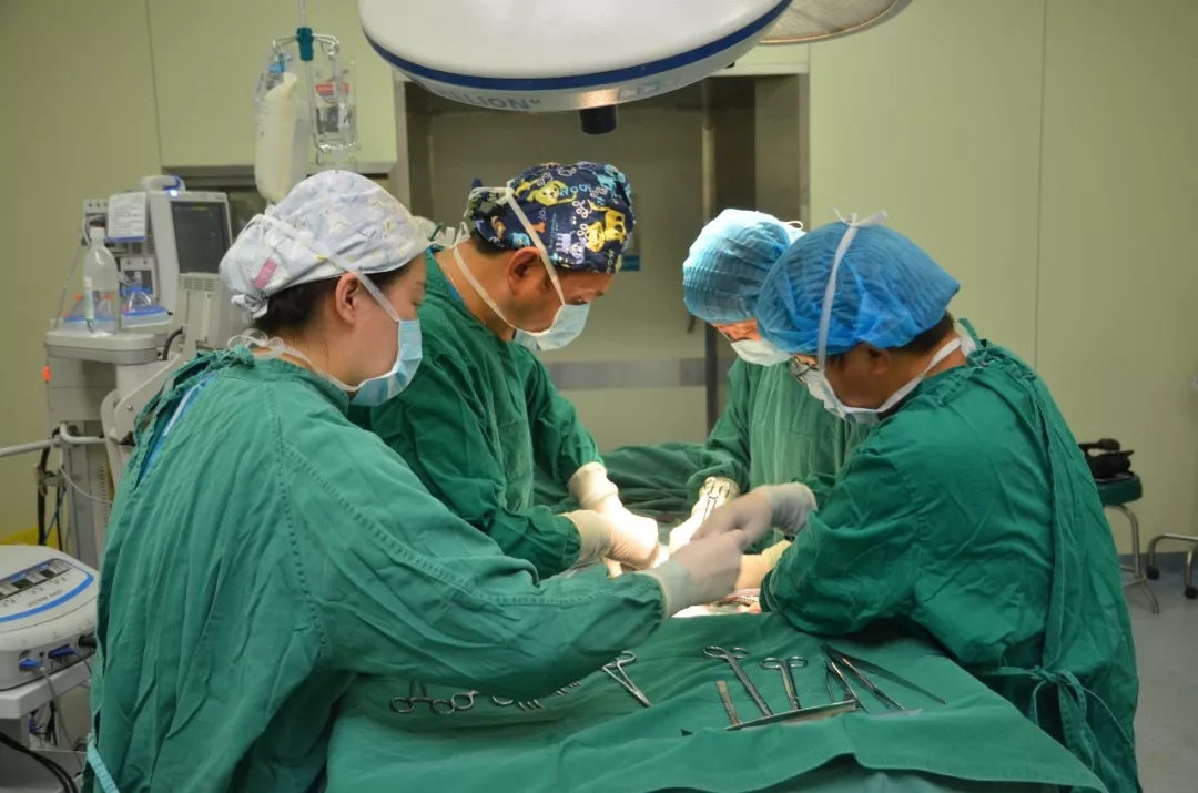 1562199913327595.jpg 6.webp.jpg