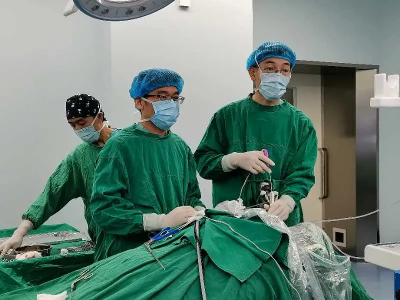 1599871050254416.jpg 640.webp.jpg