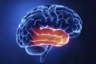 1602813340637729.jpg 1602813340637729.jpg