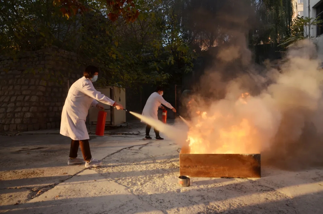 1605581370910739.jpg 1605581370910739.jpg