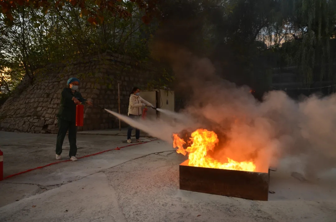 1605581511693607.jpg 1605581511693607.jpg