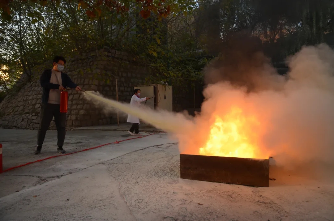 1605581524814395.jpg 1605581524814395.jpg