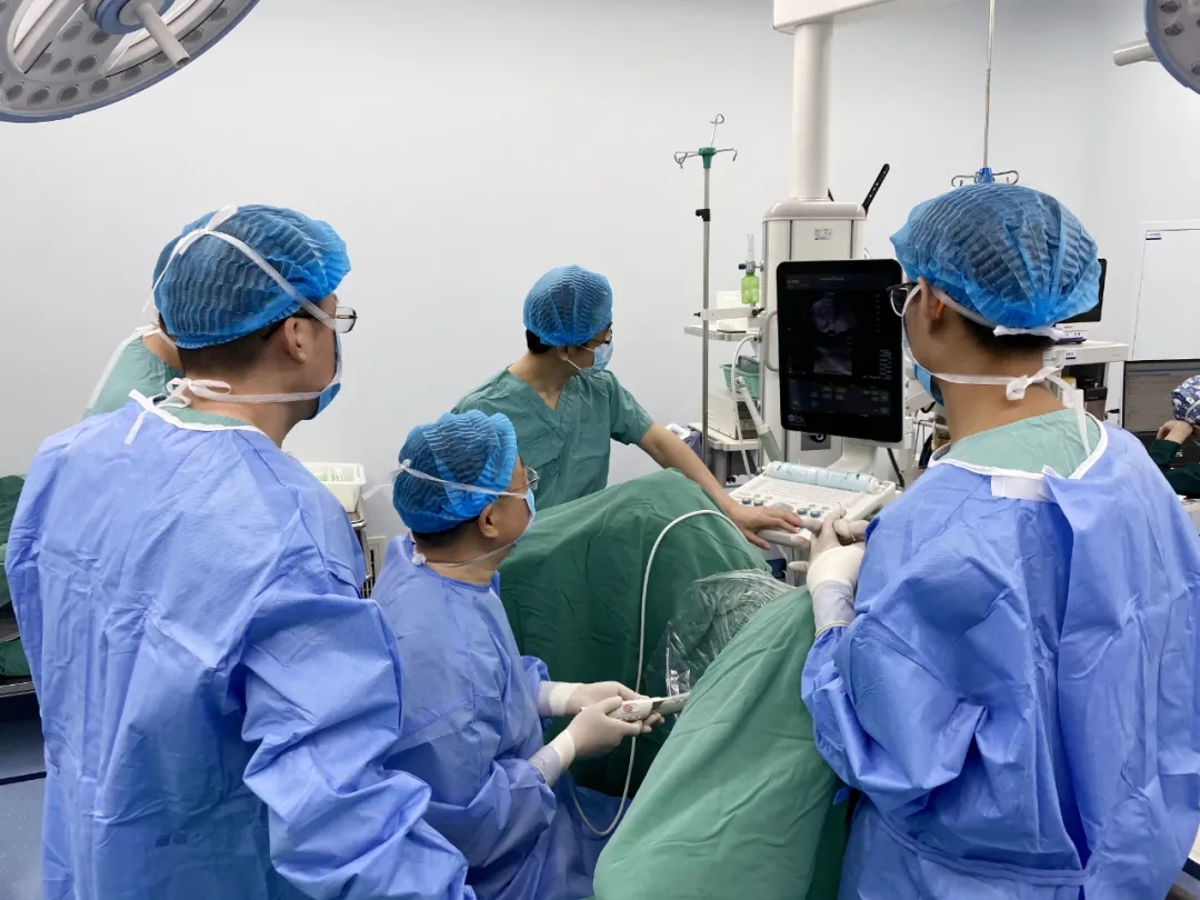 1617328276324441.jpg 1617328276324441.jpg