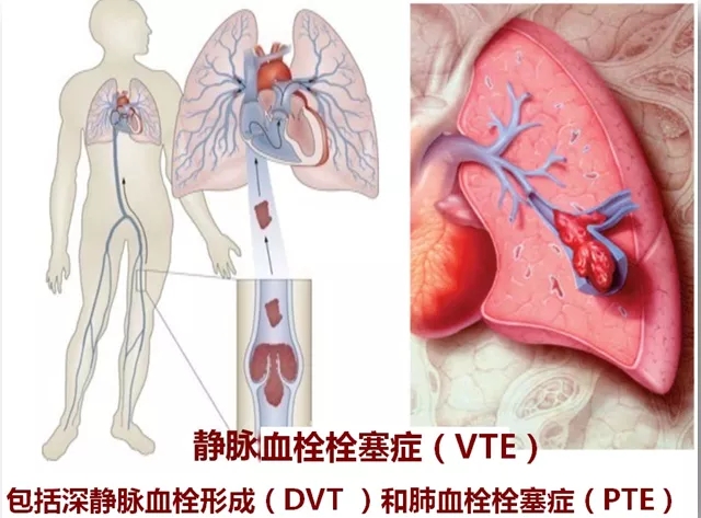 1621992274404374.jpg 1621992274404374.jpg