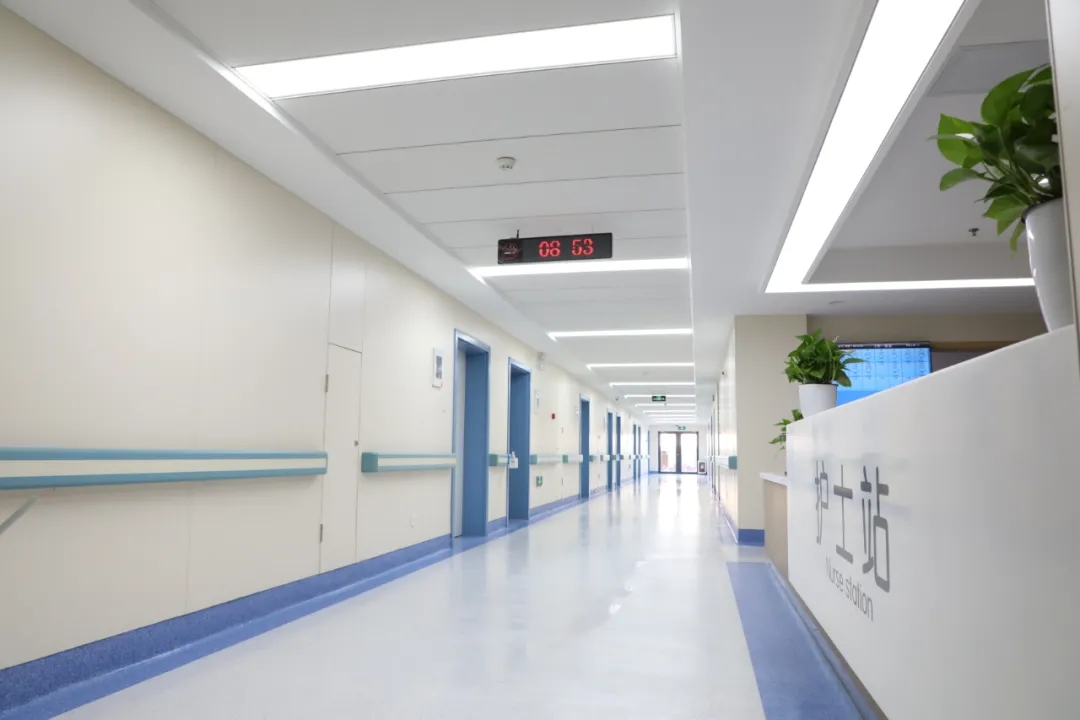 1624936232752535.jpg 1624936232752535.jpg